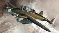 PWS-33 WYZEL